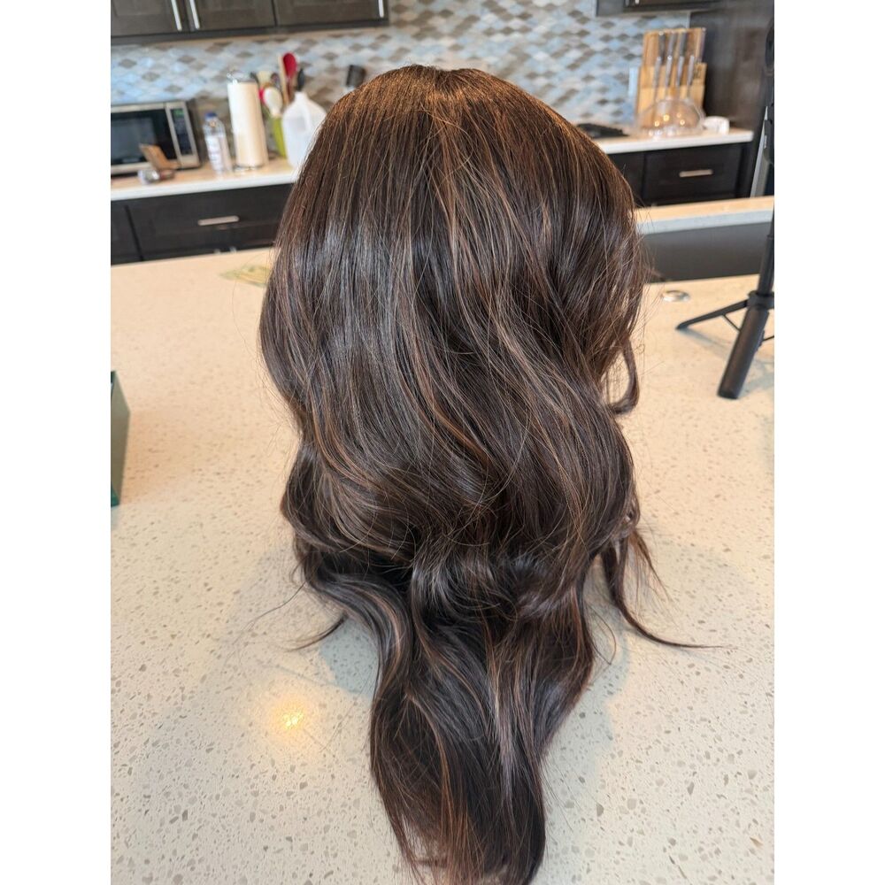 NWT 22in Brown Highlight Wavy Synthetic Hair Wig 4x4 Free Part